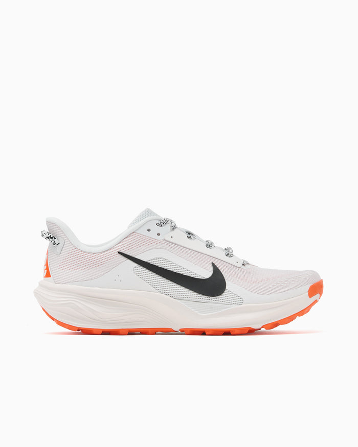 Sneakers Nike ACG Pegasus Trail - HV8116-103
