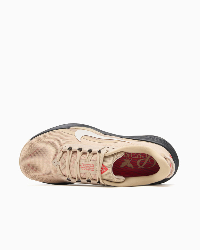 Sneakers Nike ACG Pegasus Trail - HV8116-203