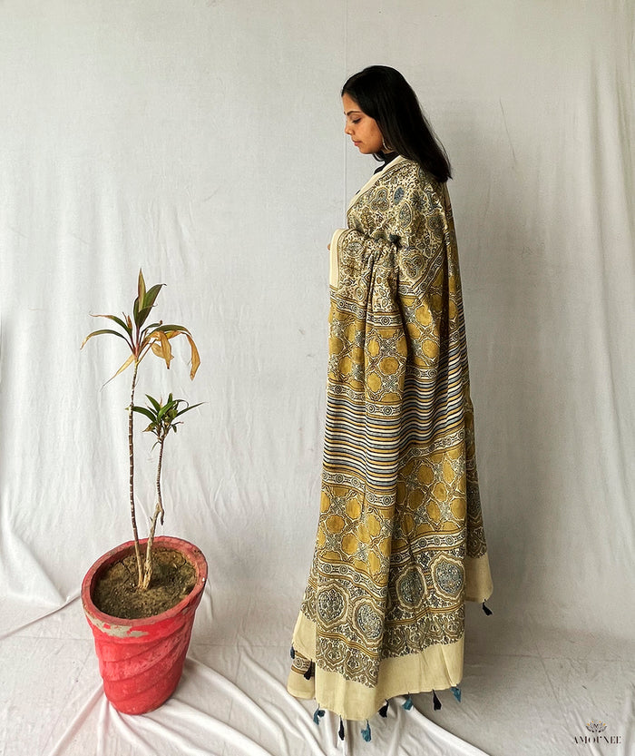 Ajrakh Cotton Handblock Printed Saree