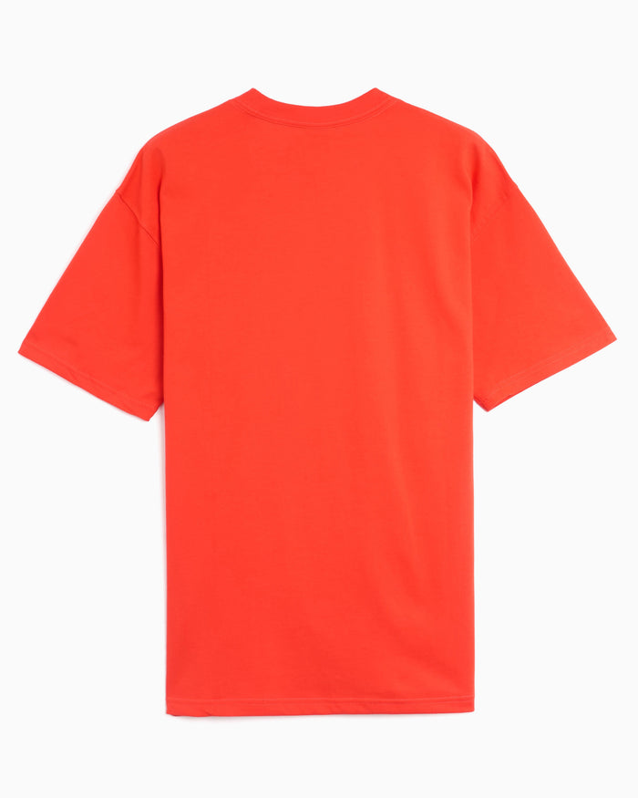 T-Shirts Nike ACG Logo Relaxed Men's T-Shirt - DC5356-696