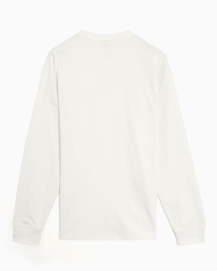 T-Shirts Nike ACG Logo Long-Sleeved Relaxed Men's T-Shirt - FQ3738-121