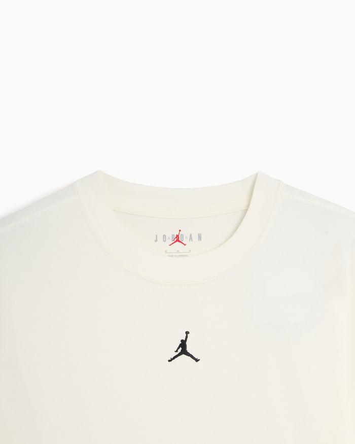 T-Shirts Jordan Heavyweight Logo Relaxed Men's T-Shirt - IF1911-133
