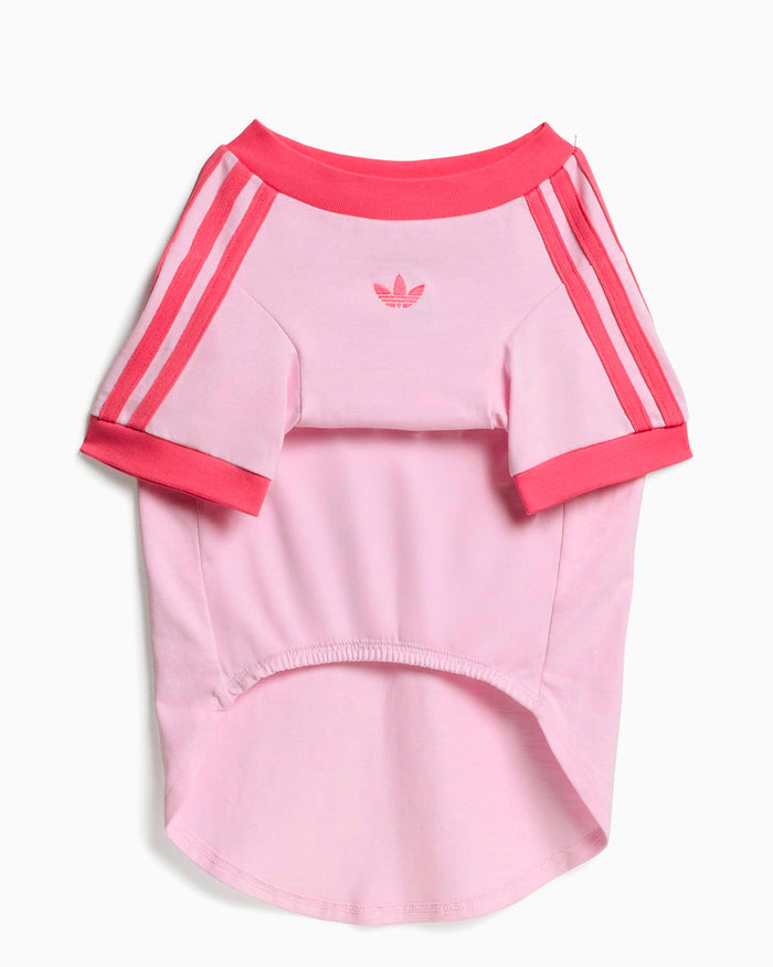 Outdoor accessories adidas Originals Cali Pet T-Shirt - KY8729