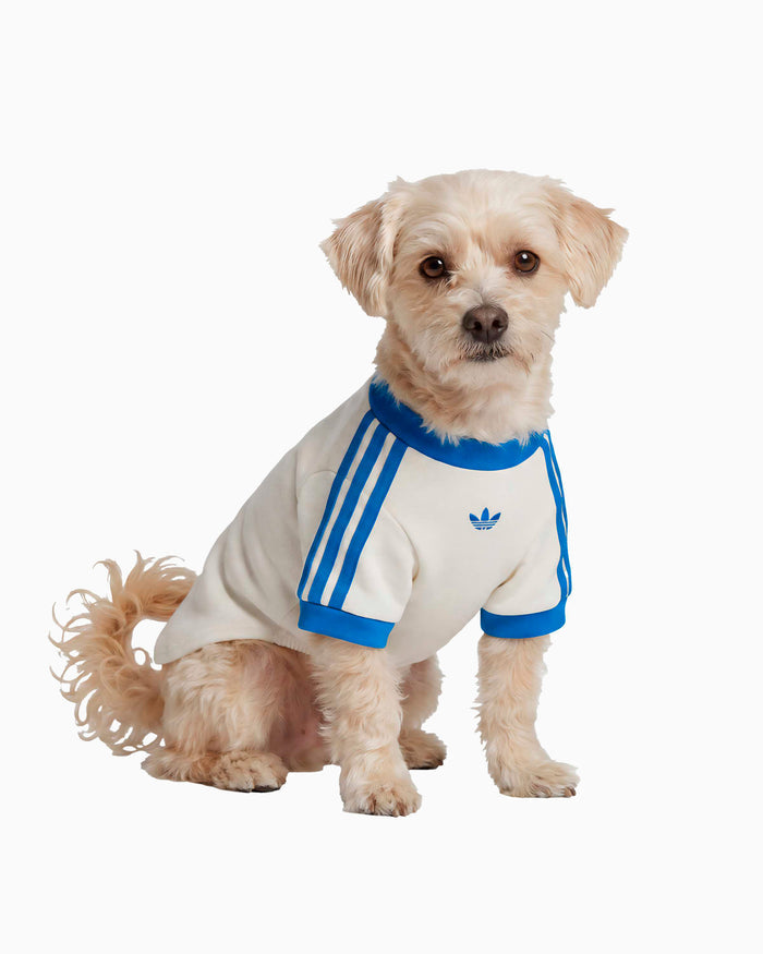 Outdoor accessories adidas Originals Cali Pet T-Shirt - KY8732