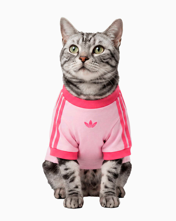 Outdoor accessories adidas Originals Cali Pet T-Shirt - KY8729