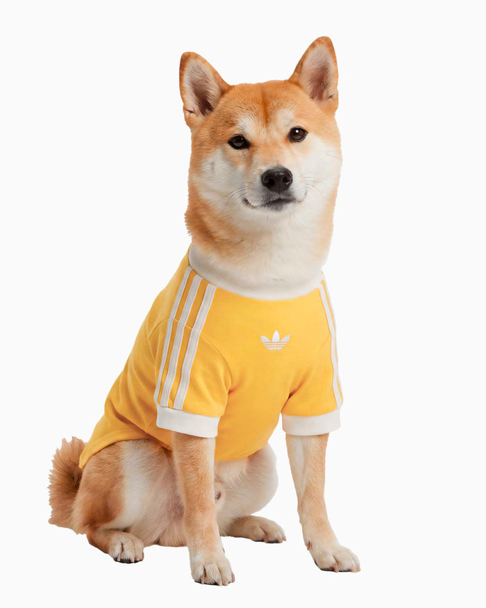 Outdoor accessories adidas Originals Cali Pet T-Shirt - KY8731