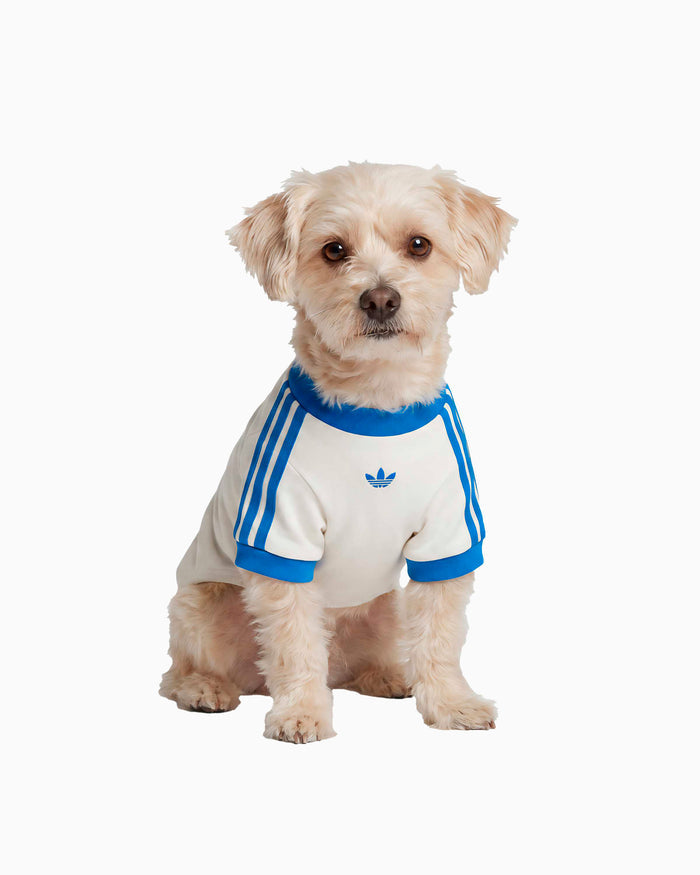 Outdoor accessories adidas Originals Cali Pet T-Shirt - KY8732