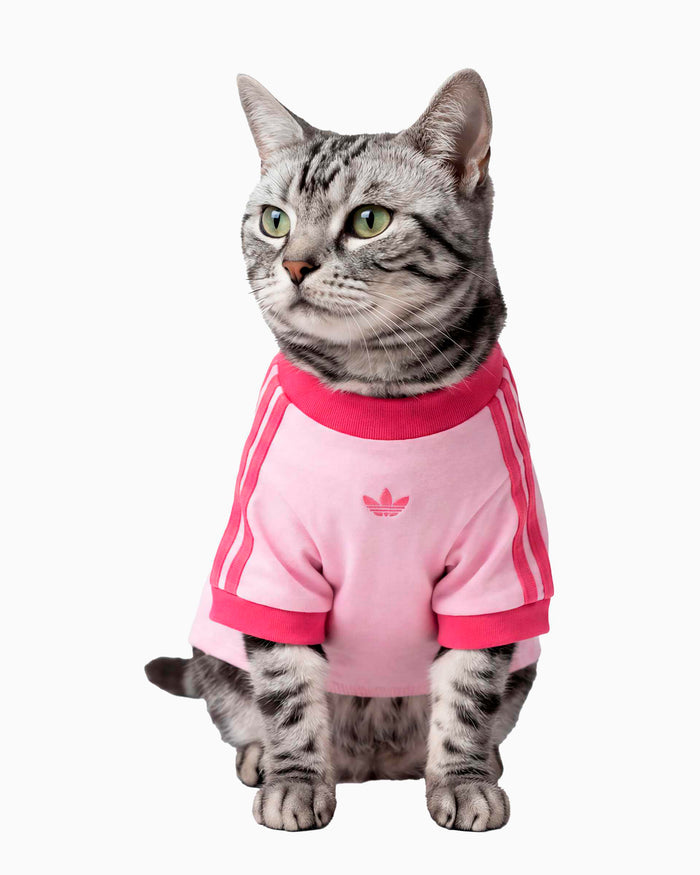Outdoor accessories adidas Originals Cali Pet T-Shirt - KY8729