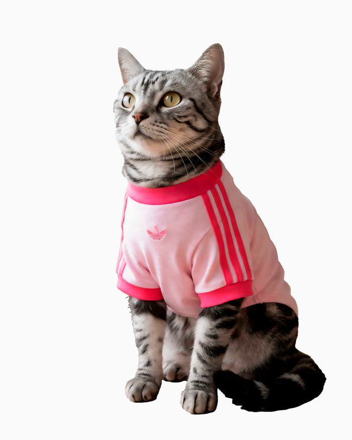 Outdoor accessories adidas Originals Cali Pet T-Shirt - KY8729