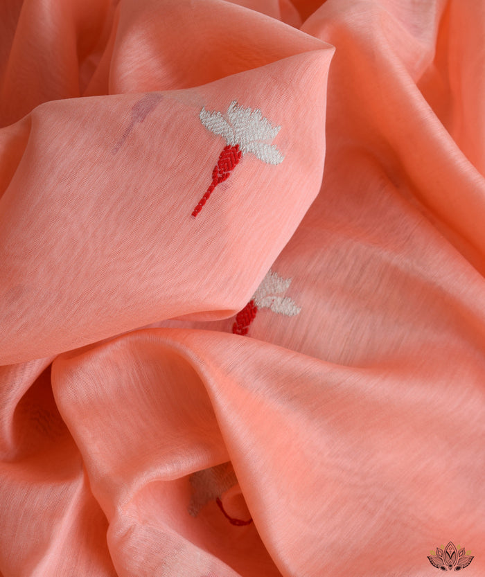 Chanderi Handwoven Saree