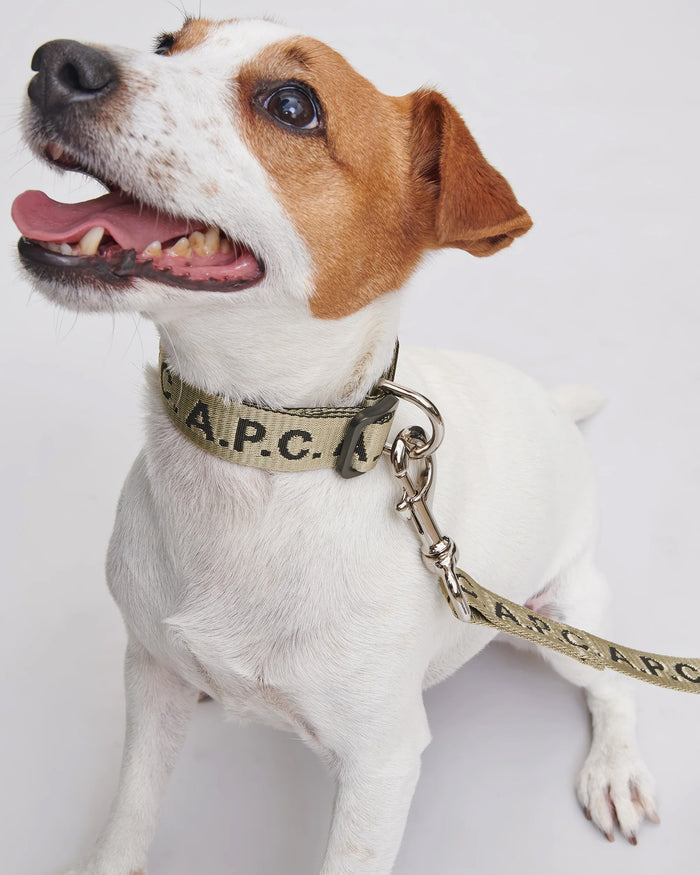 A.P.C. Toutou Dog Collar - PAAGQ-M66075-CAA