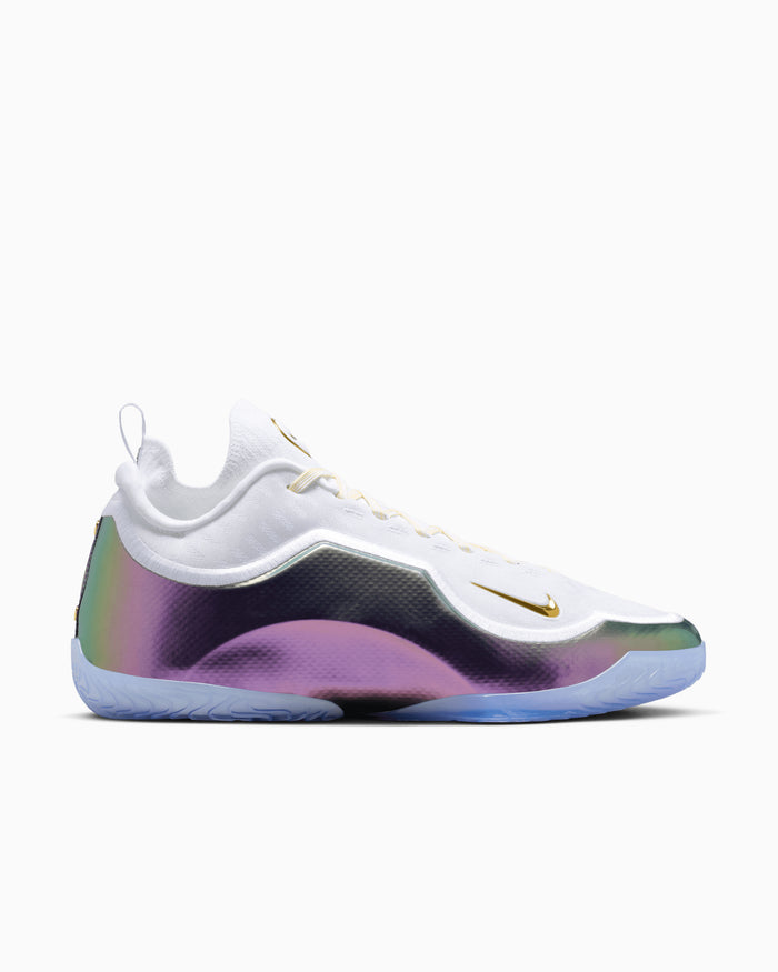 Sneakers Nike LeBron 23 Elite "For The Record" - IB9557-100