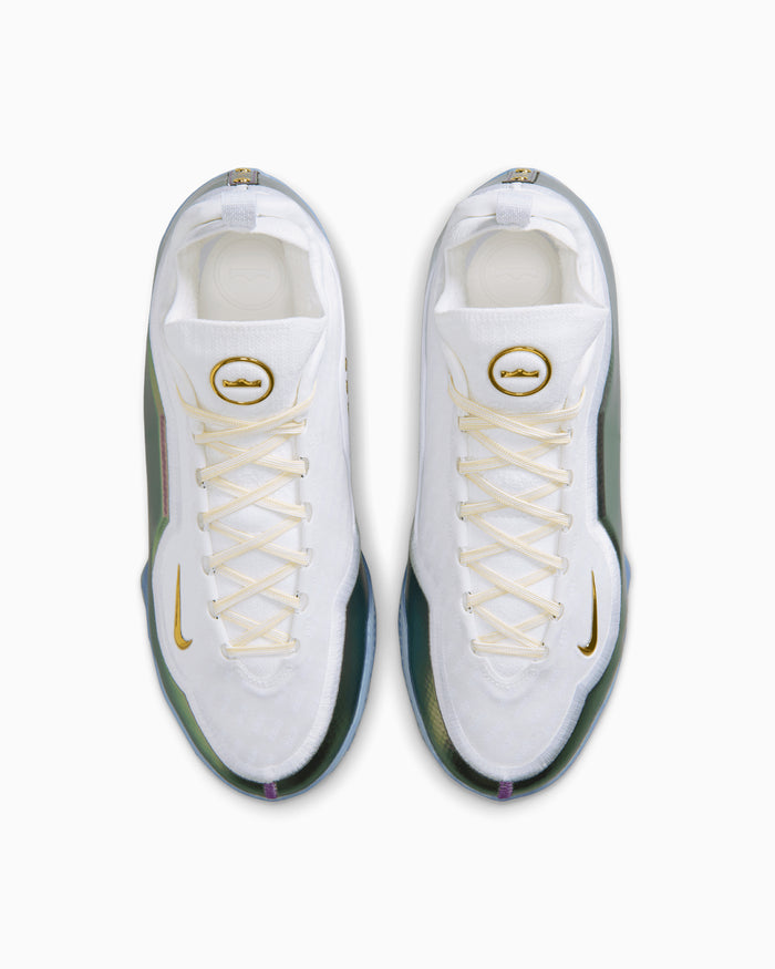 Sneakers Nike LeBron 23 Elite "For The Record" - IB9557-100
