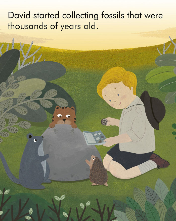 Little People, Big Dreams: David Attenborough- Children's Book