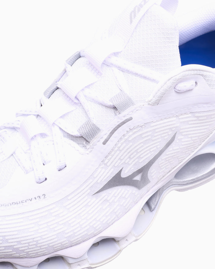 Sneakers Mizuno Wave Prophecy 13.2 - D1GA2605-05