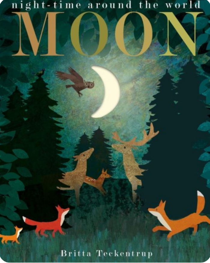 MOON: Night-time Around The World- Children's Book