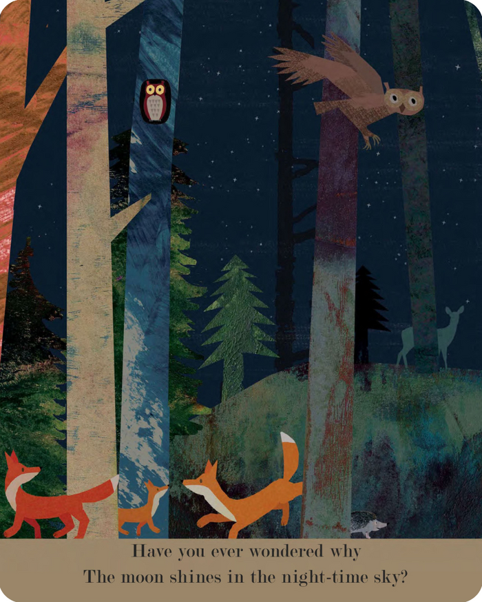 MOON: Night-time Around The World- Children's Book