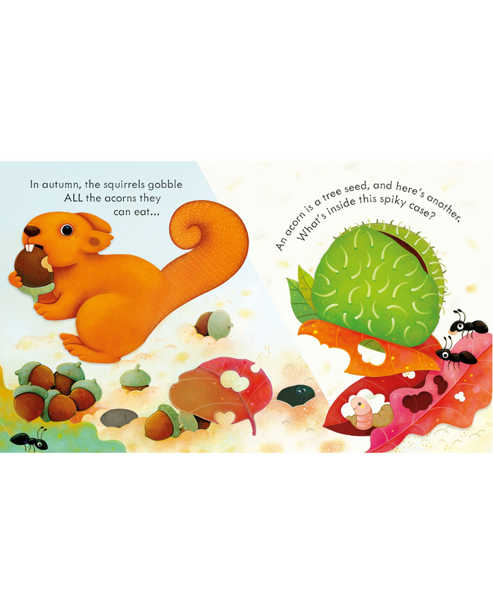 Peep Inside Autumn- Children's Book