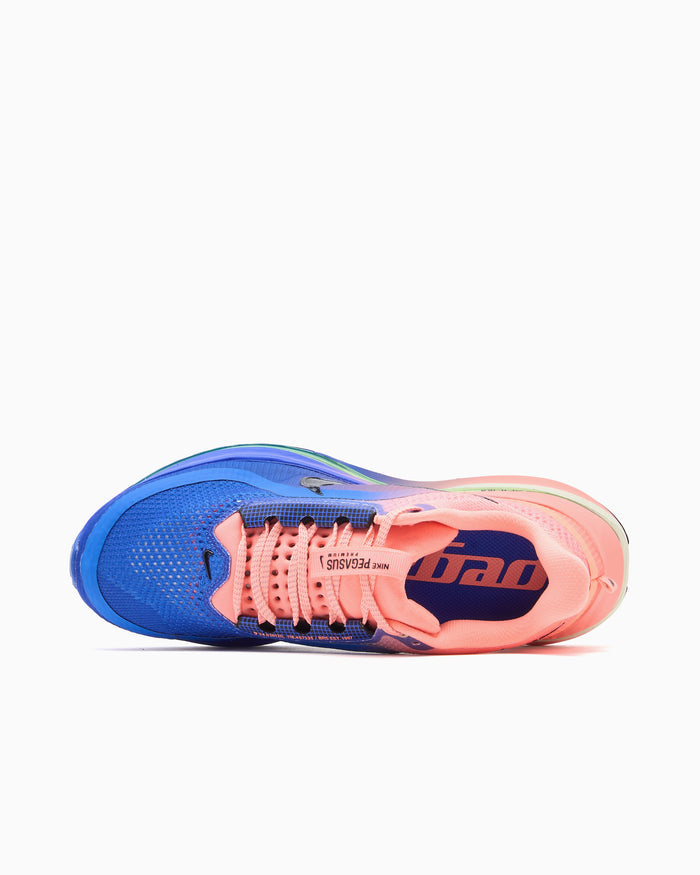 Sneakers Nike Pegasus Premium - HQ2592-401