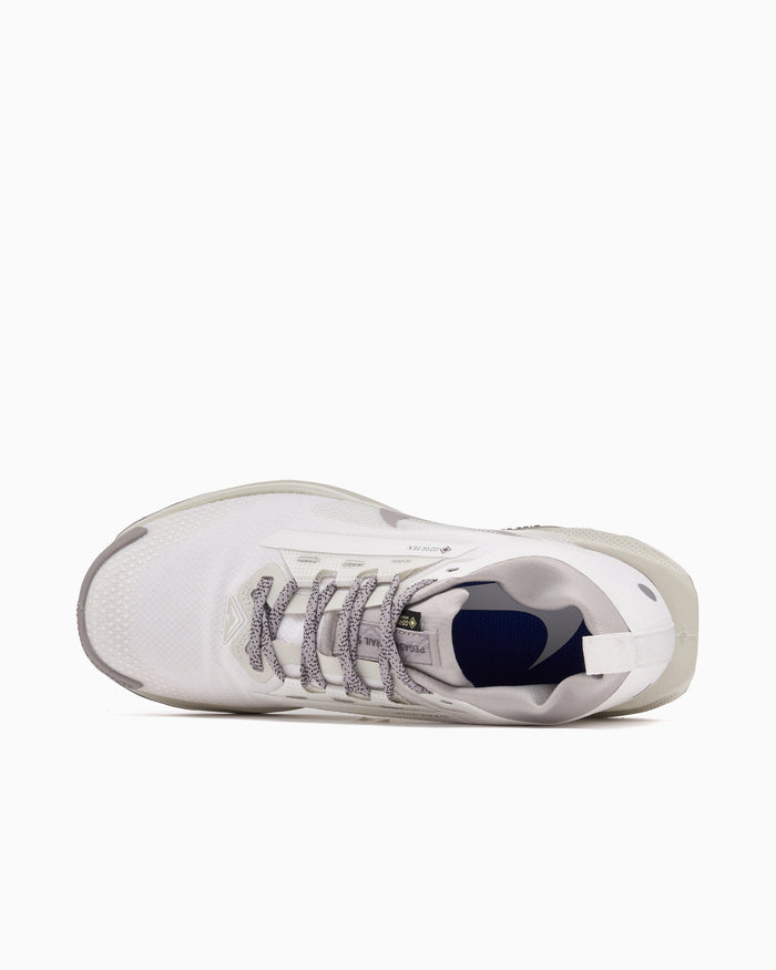 Sneakers Nike Reactx Pegasus Trail 5 Gore-Tex® SP - HQ7494-100