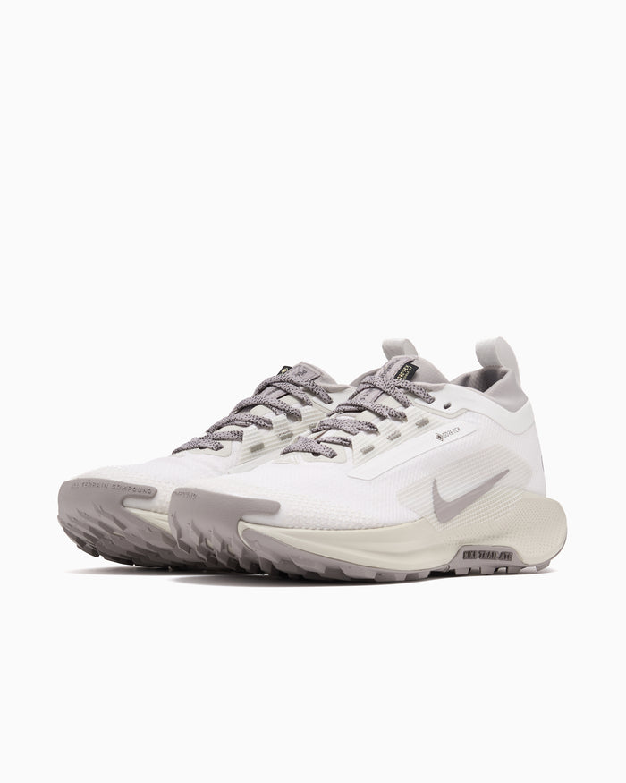 Sneakers Nike Reactx Pegasus Trail 5 Gore-Tex® SP - HQ7494-100