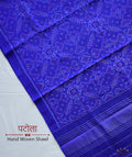 SINGLE IKAT PATOLA SHAWL