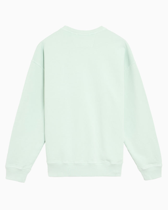 Sweatshirts CP Company Embroidered Boxy Men's Sweatshirt - 20CMSS217A006090O-804