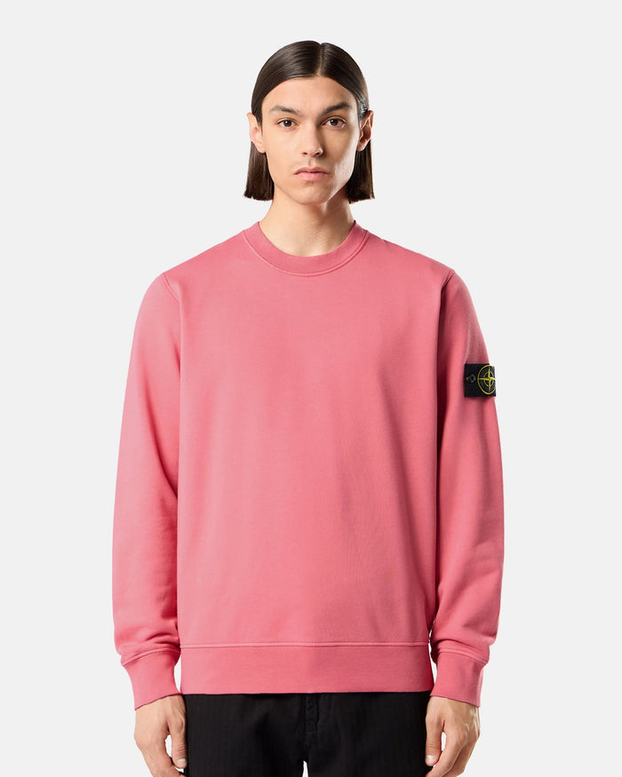 Sweatshirts Stone Island Logo Men's Sweatshirt - L2S156100060-V0089
