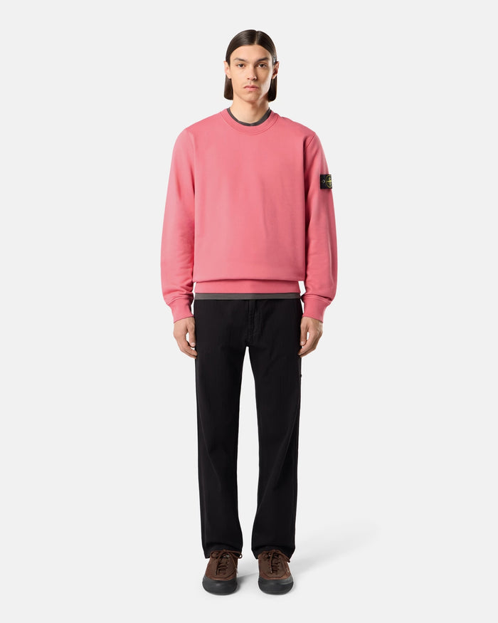 Sweatshirts Stone Island Logo Men's Sweatshirt - L2S156100060-V0089