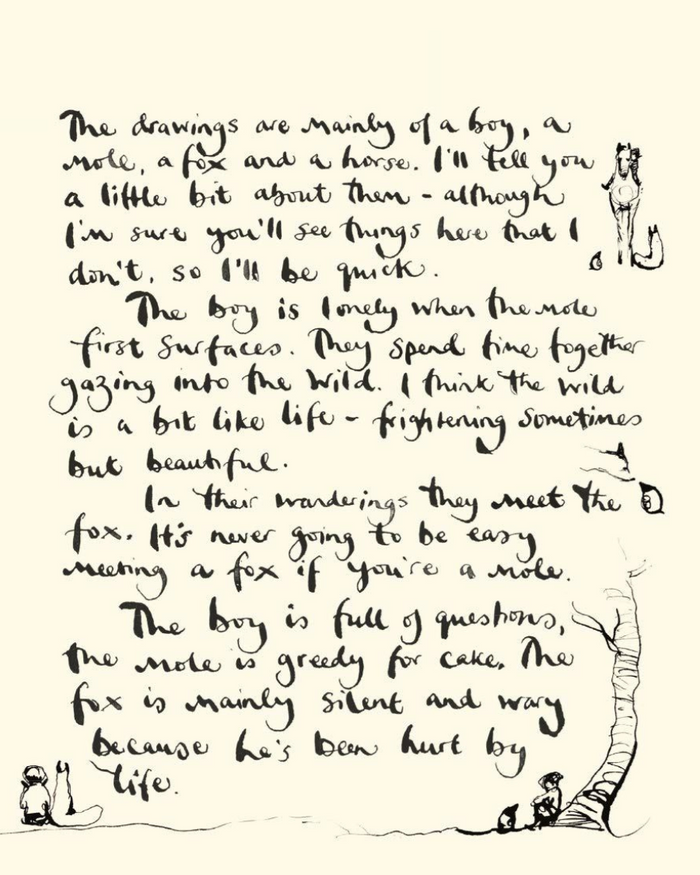 The Boy, The Mole, The Fox and The Horse Book