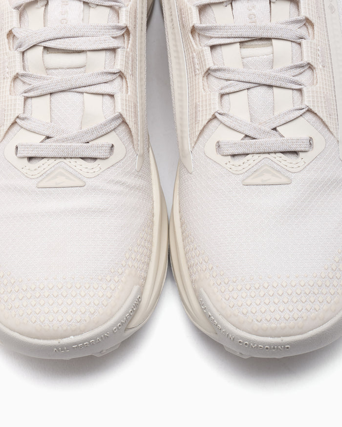 Sneakers Nike Women's Pegasus Trail 5 Gore-Tex® - FQ0912-105